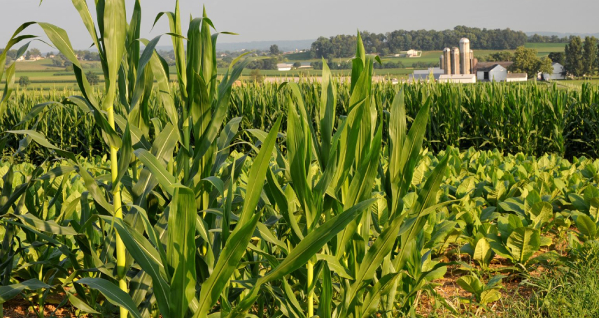 la-importancia-de-los-seguros-agrIcolas-ante-posible-granizo