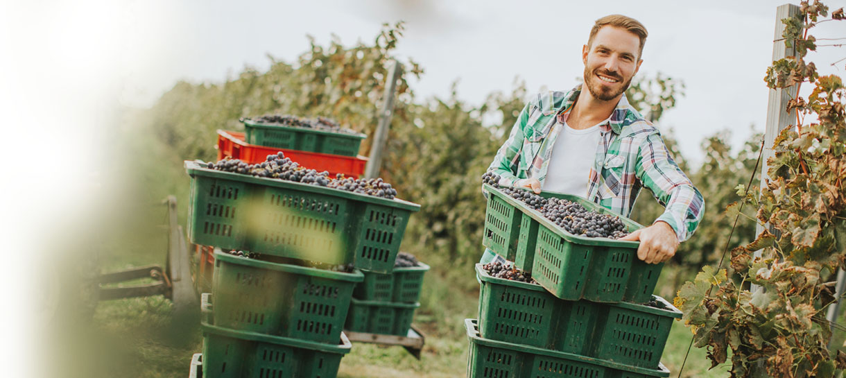 Seguros para el agro